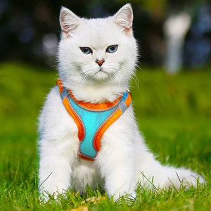 Chest harness for pets