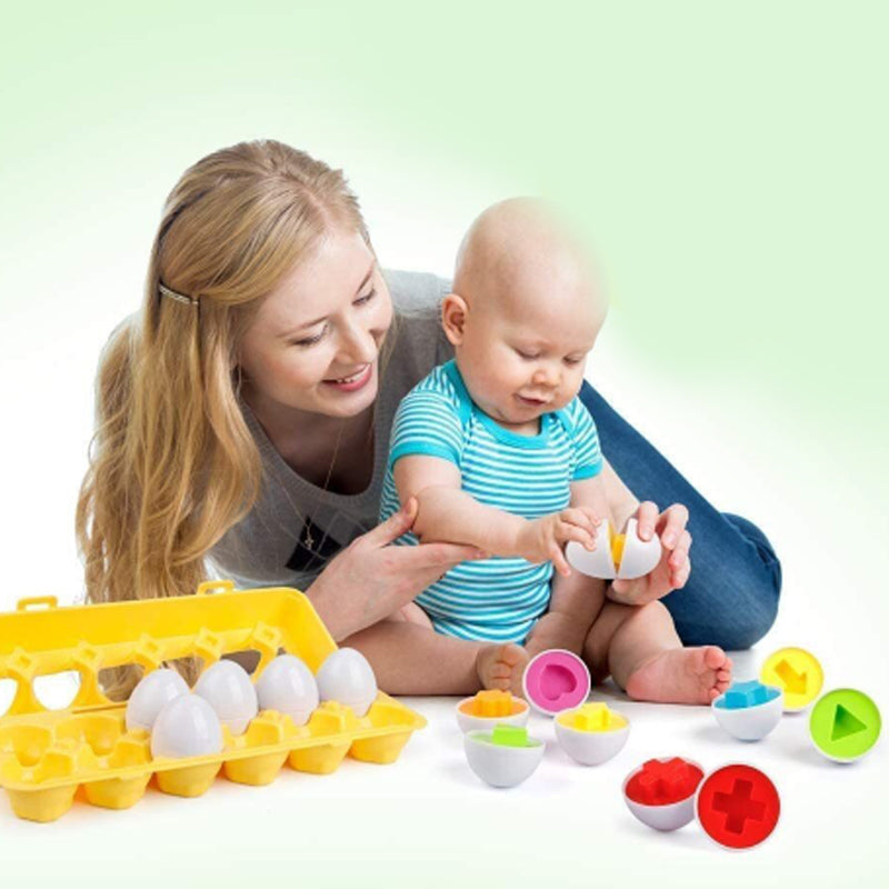 A set of eggs that match colors and shapes 