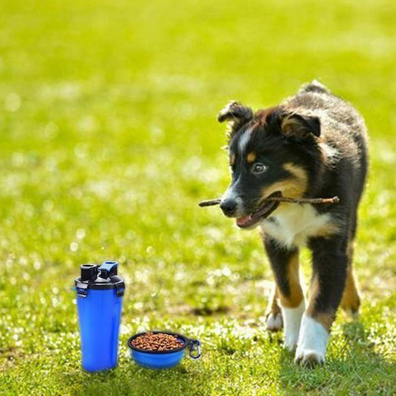 2 in 1 pet food and water bottle with collapsible bowl 