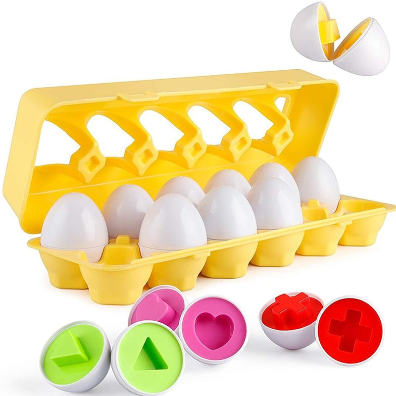 A set of eggs that match colors and shapes 