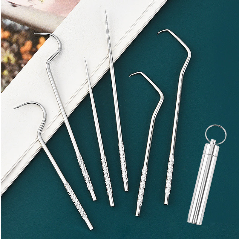 Stainless steel toothpick set