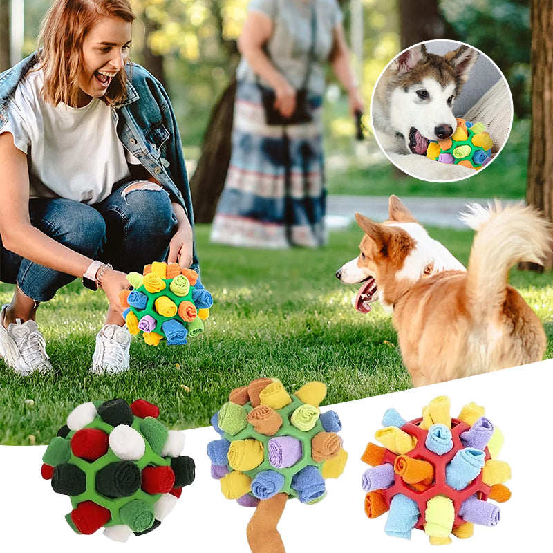 Chew toy for dogs