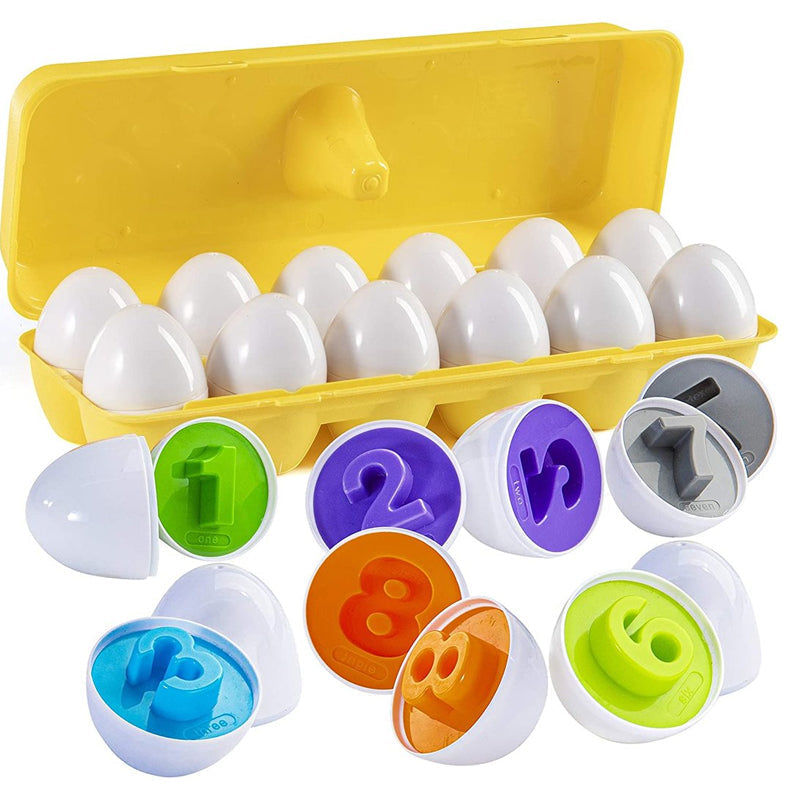 A set of eggs that match colors and shapes 