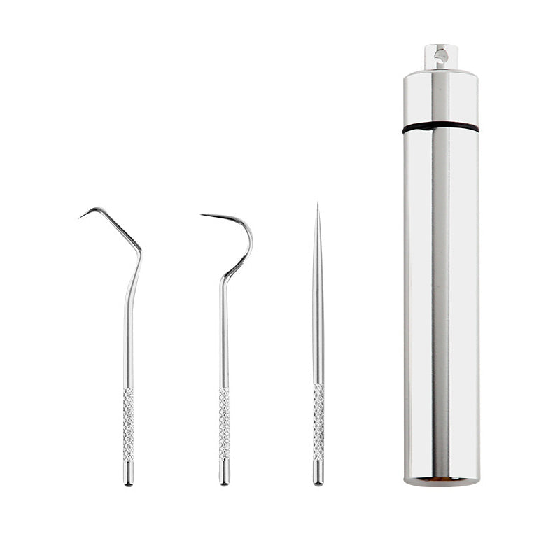 Stainless steel toothpick set