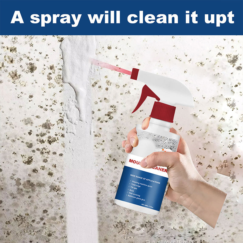 Foam for cleaning mildew