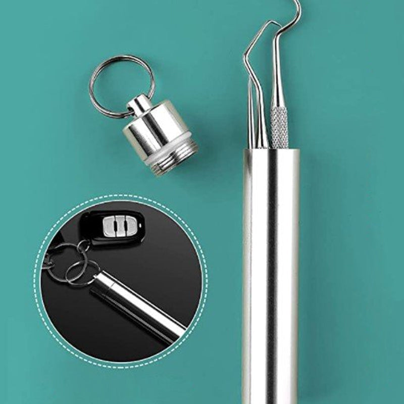 Stainless steel toothpick set