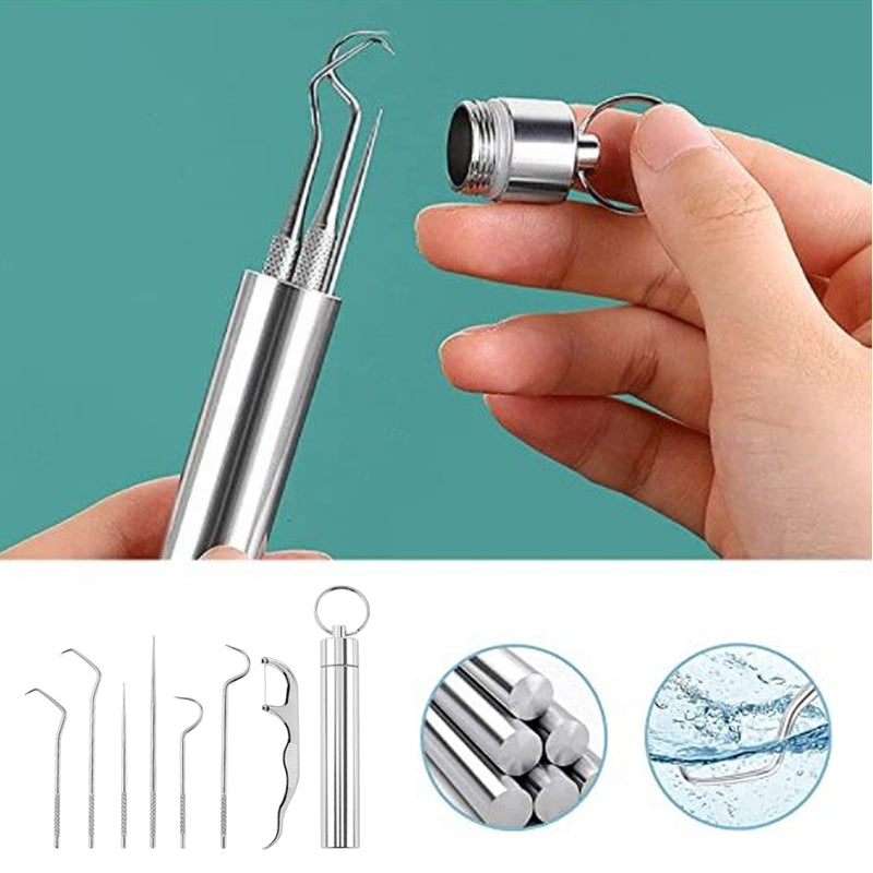 Stainless steel toothpick set